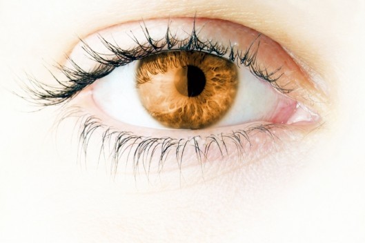 Eyeling Light Brown 