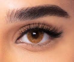 Freshlook Colors Hazel +2.00; +6.00 - tühjendusmüük!