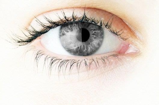 Eyeling Grey