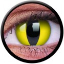 Crazy Cat Eye