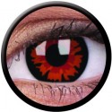 Crazy One-Day Volturi