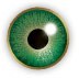Air Optix Colors Gemstone Green