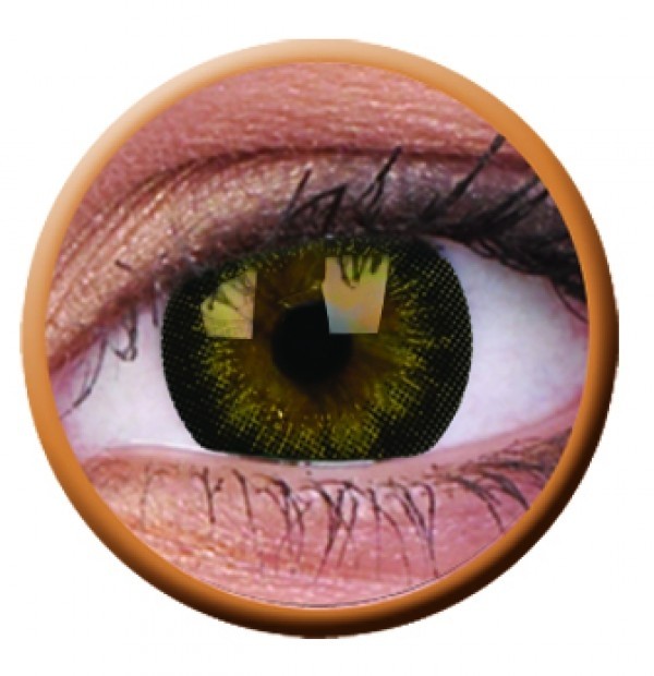 Gorgeous Brown -4,75;-5,00 tühjendusmüük