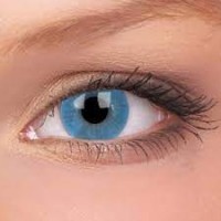 Basic Blue 0,00