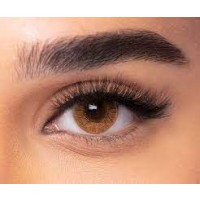 Freshlook Colors Hazel +2.00; +6.00 - tühjendusmüük!