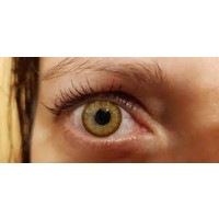 1-kuu Woody Brown erinevad tugevused - tühjendusmüük