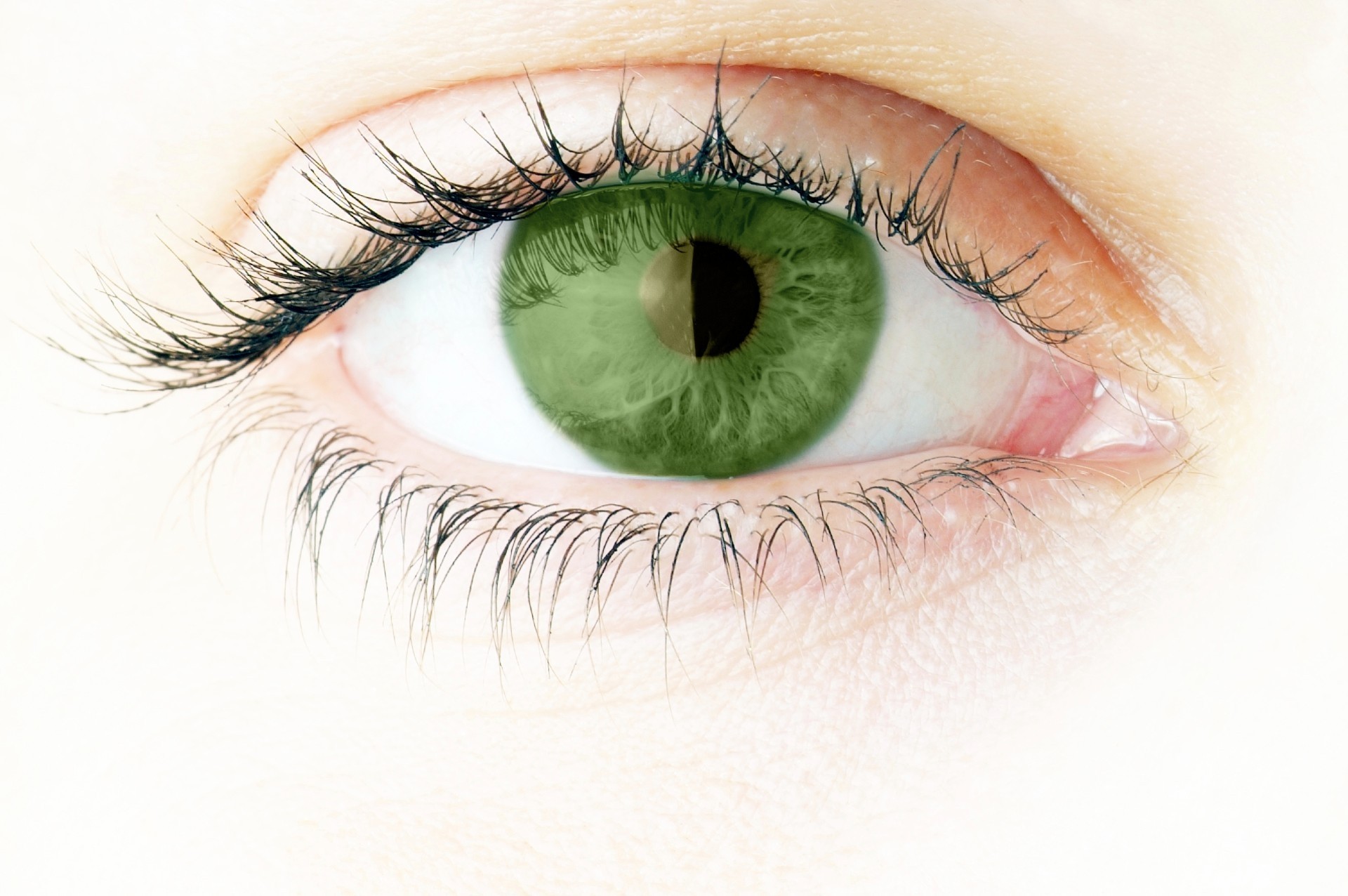 PureVision Multifocal