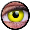Crazy Yellow