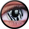 Crazy Zebra