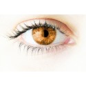 Eyeling Light Brown 