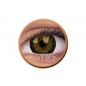 BigEyes Gorgeous Brown