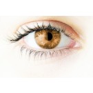 PureVision Multifocal