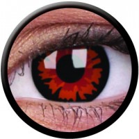 Crazy One-Day Volturi