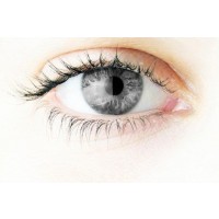 PureVision Multifocal