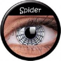 Crazy Spider