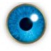 Air Optix Colors Brilliant Blue