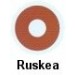 Ruskea